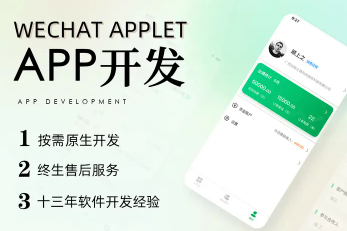 APP开发、小程序开发、网站建设